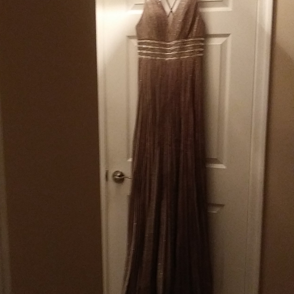 Cinderella Divine Dress Size8 Rosewood